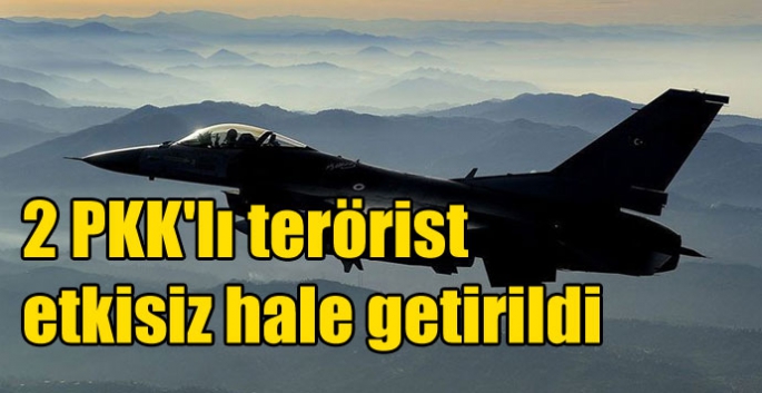 2 PKK'lı terörist etkisiz hale getirildi