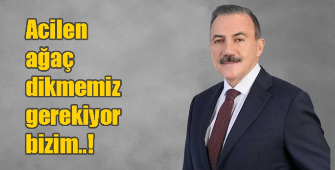 Acilen ağaç dikmemiz gerekiyor bizim..!