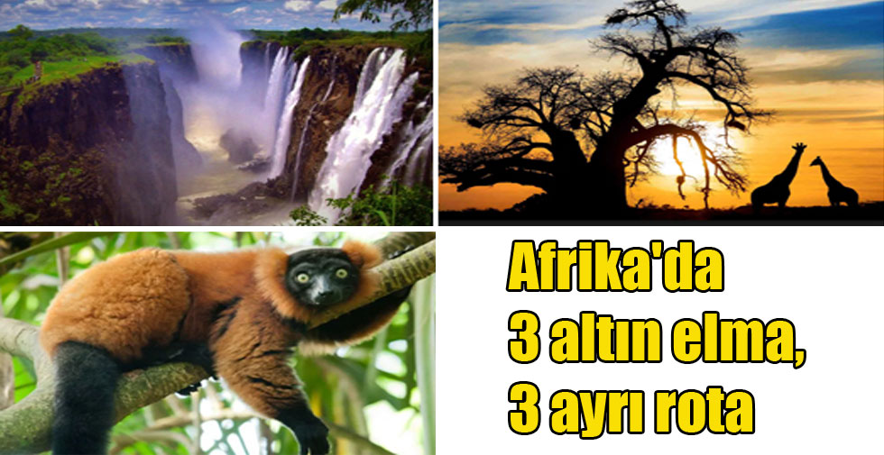 Afrika'da 3 altın elma, 3 ayrı rota