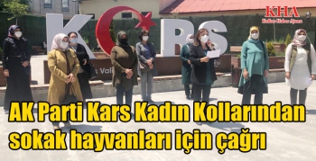 AK Parti Kars Kadın Kollarından sokak hayvanları için çağrı