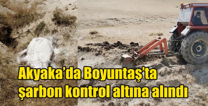 Akyaka’da Boyuntaş’ta şarbon kontrol altına alındı
