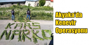 Akyaka’da Kenevir Operasyonu