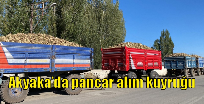 Akyaka’da pancar alım kuyruğu