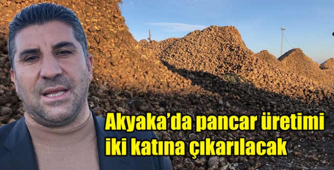 Akyaka’da pancar üretimi iki katına çıkarılacak