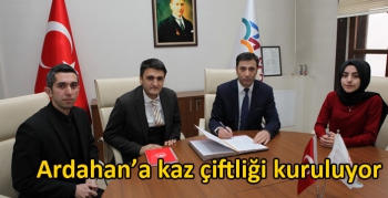 Ardahan’a kaz çiftliği kuruluyor