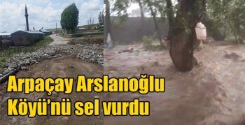 Arpaçay Arslanoğlu Köyü’nü sel vurdu