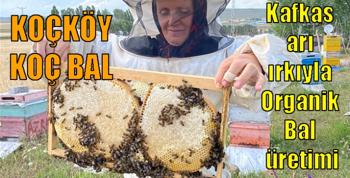 Arpaçay Koçköy’de Kafkas arı ırkıyla Organik Bal üretimi