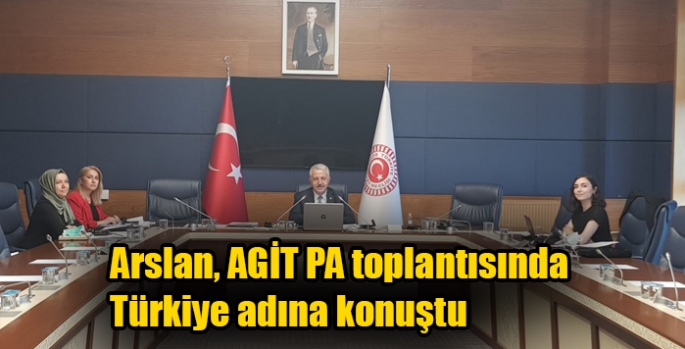 Arslan, AGİT PA toplantısında Türkiye adına konuştu