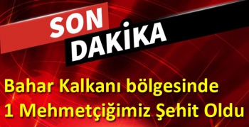 Bahar Kalkanı bölgesinde 1 Mehmetçiğimiz Şehit Oldu