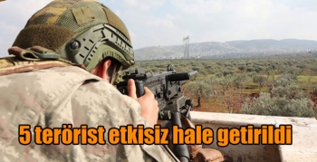 Barış Pınarı bölgesinde 5 terörist etkisiz hale getirildi