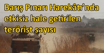 Barış Pınarı Harekâtı’nda etkisiz hale getirilen terörist sayısı