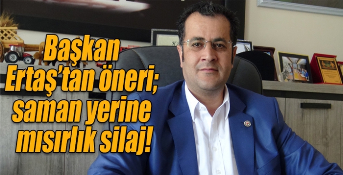 Başkan Ertaş’tan öneri; saman yerine mısırlık silaj!