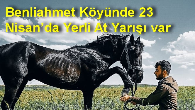 Benliahmet Köyünde 23 Nisan’da Yerli At Yarışı var