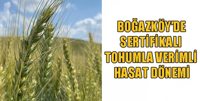 Boğazköy’de Sertifikalı Tohumla Verimli Hasat Dönemi