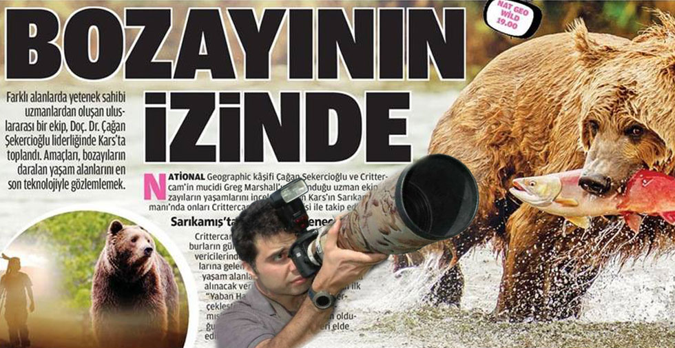 Bozayının izinde