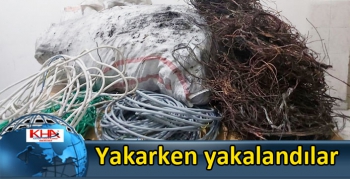 Çaldıkları kabloları yakarken yakalandılar