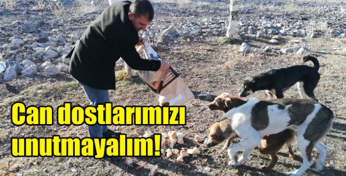 Can dostlarımızı unutmayalım!