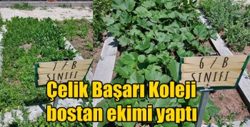 Çelik Başarı Koleji bostan ekimi yaptı