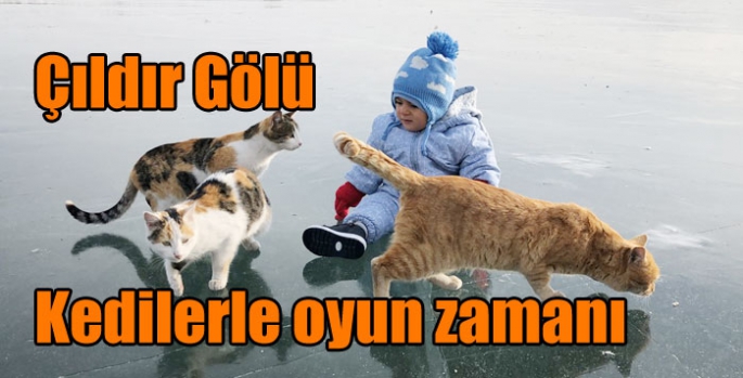 Çıldır Gölünün kedileriyle oyun zamanı