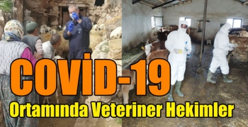 COVİD-19 Ortamında Veteriner Hekimler