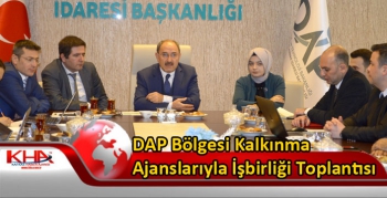 DAP Bölgesi Kalkınma Ajanslarıyla İşbirliği Toplantısı