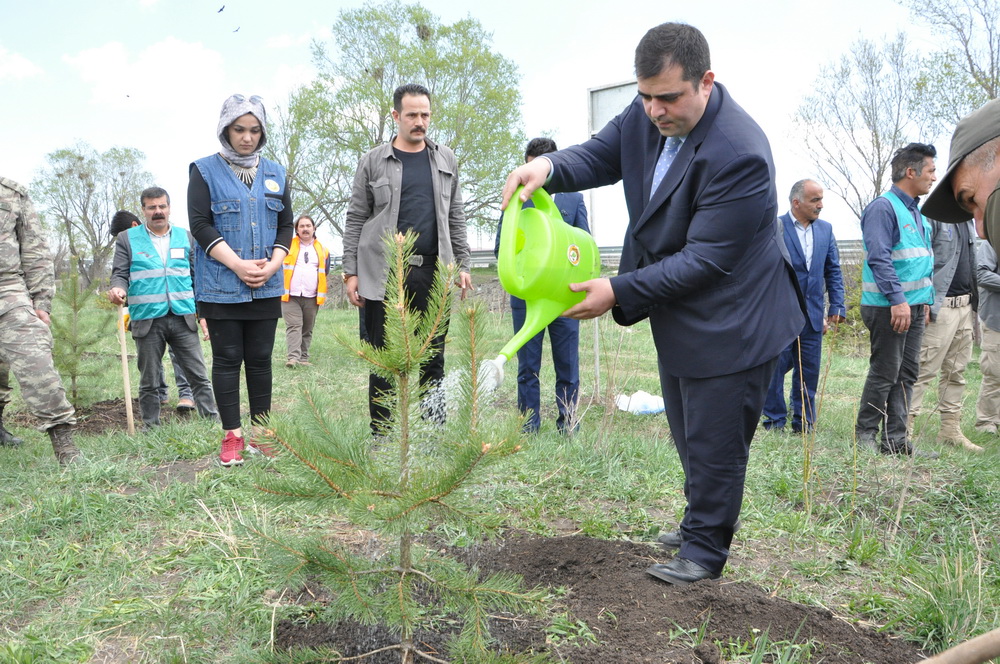 Denetimli Hükümlüler Fidan Dikti