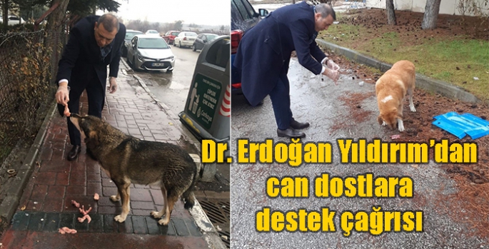 Dr. Erdoğan Yıldırım’dan can dostlara destek çağrısı