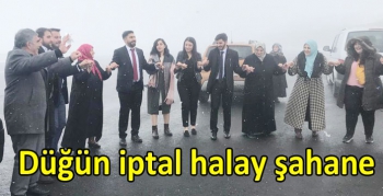 Düğün iptal halay şahane