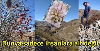 Dünya sadece insanlara ait değil