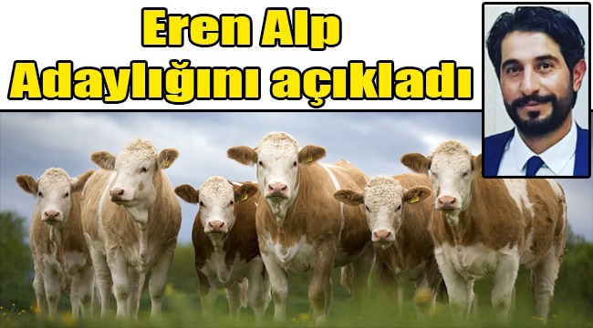 Eren Alp adaylığını açıkladı