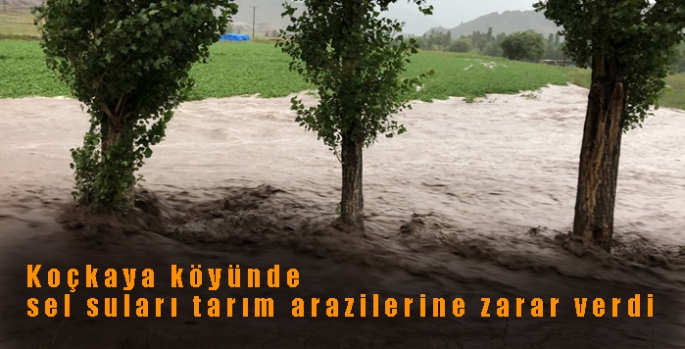Erzurum Narman’ın Koçkaya köyünde sel suları tarım arazilerine zarar verdi