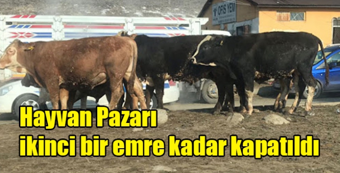 Hayvan Pazarı ikinci bir emre kadar kapatıldı