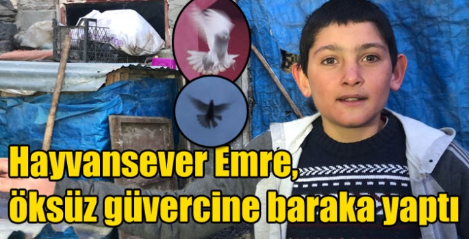 Hayvansever Emre öksüz güvercine baraka yaptı