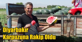 Iğdır Karpuzu Diyarbakır Karpuzuna Rakip Oldu