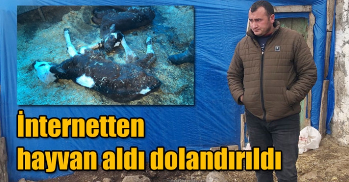 İnternetten hayvan aldı dolandırıldığını iddia etti