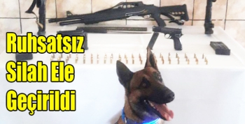 Ruhsatsız Silah Ele Geçirildi