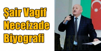 Şair Vagif Necefzade - Biyografi