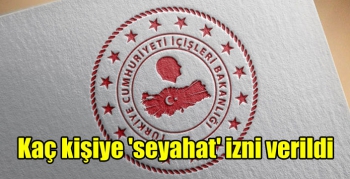 Kaç kişiye 'seyahat' izni verildi