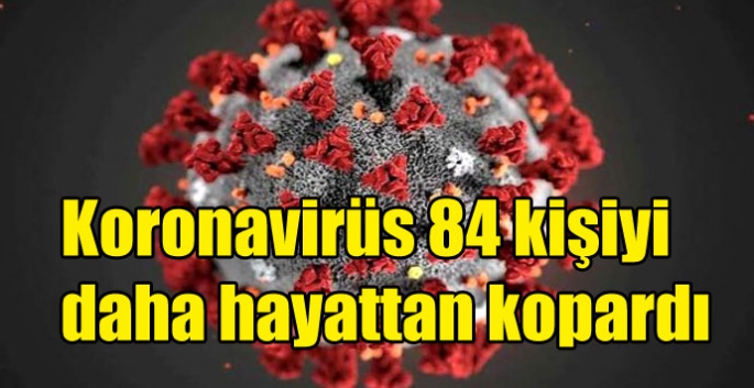 Bakan Koca koronavirüs tablosunu paylaştı