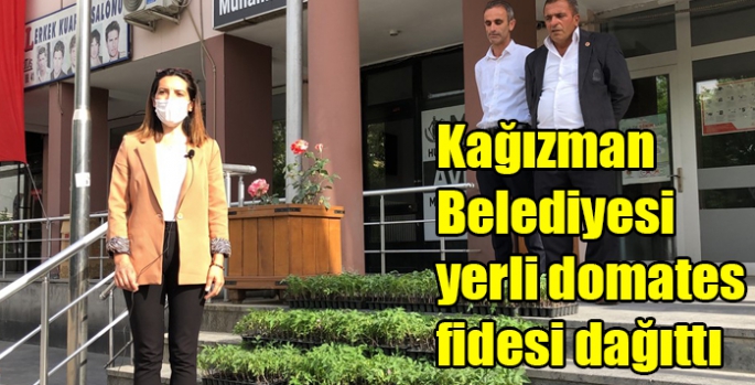 Kağızman Belediyesi yerli domates fidesi dağıttı