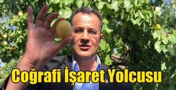 Kağızman Kayısısı Coğrafi İşaret Yolcusu