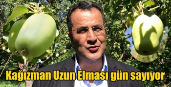 Kağızman Uzun Elması gün sayıyor