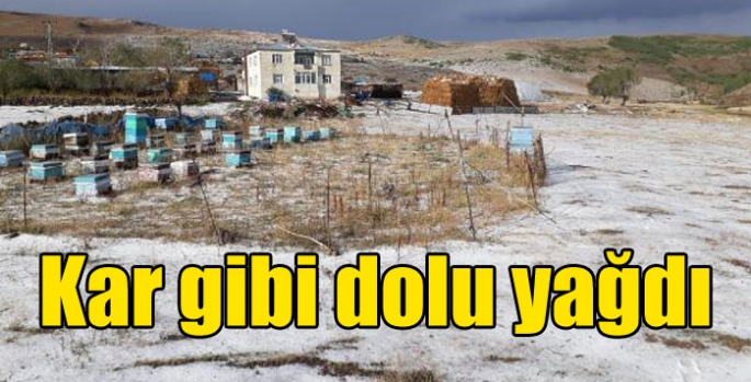 Kar gibi dolu yağdı