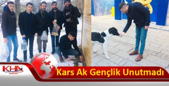 Kars Ak Gençlik Sokak Hayvanlarını Unutmadı