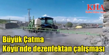 Kars Arpaçay Büyük Çatma Köyü’nde dezenfektan çalışması