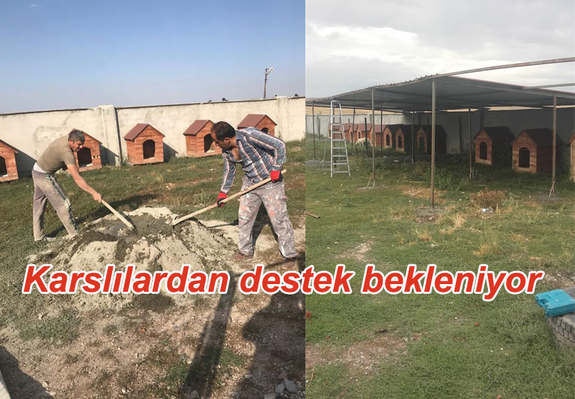 Kars Can Dostları Derneği taşın altına elini koydu, ya siz!