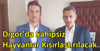 Kars Digor’da Sahipsiz Hayvanlar Kısırlaştırılacak