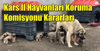 Kars İl Hayvanları Koruma Komisyonu Kararları