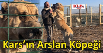 Kars’ın Arslan Köpeği