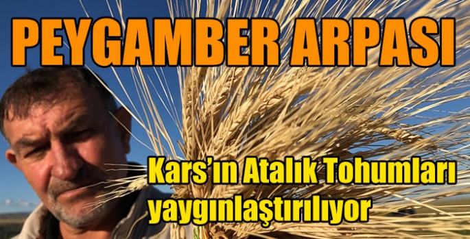 Kars’ın Atalık Tohumları yaygınlaştırılıyor